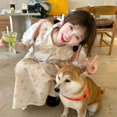 男孩与骏马